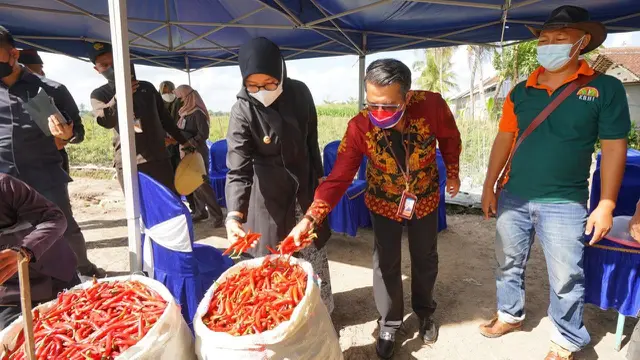 Pertumbuhan Ekonomi Banyuwangi
