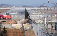 Korea Selatan Akan Ganti Pembatas Beton di Sejumlah Bandara Setelah Kecelakaan Pesawat Jeju Air