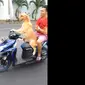 Seekor anjing tipe golden mengendarai sepeda motor jenis matic. Dalam video tampak seekor anjing mengemudi dengan laju cukup kencang.