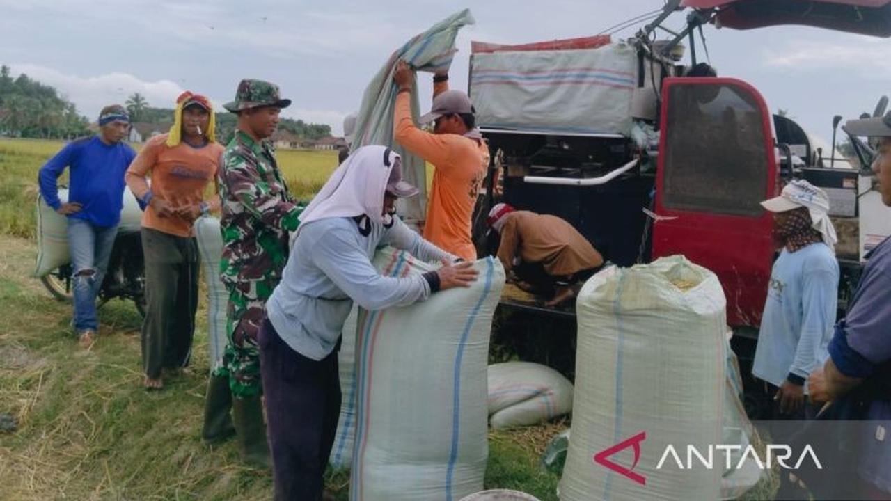 Tahukah Anda? Bulog Serap 18.079 Ton GKP Petani di OKU Raya, Jamin Ketersediaan Pangan Sumsel!