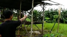 Seorang warga tewas tersambar petir saat membangun pondokan di Tanjung Pinang, Kepulauan Riau.