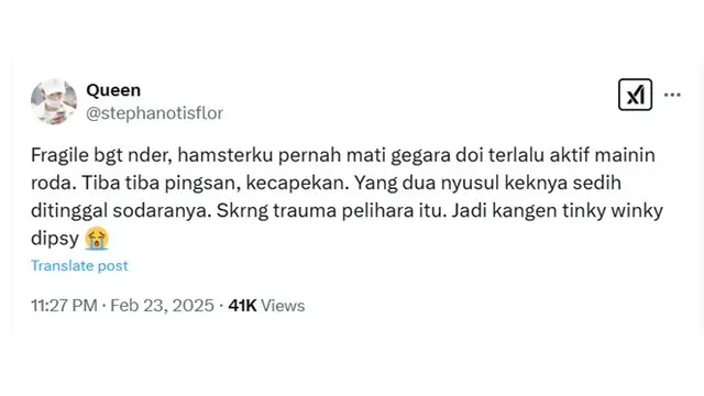 6 Cerita Netizen Hamster Peliharaannya Mati Ini Bikin Sedih Sekaligus Ngakak