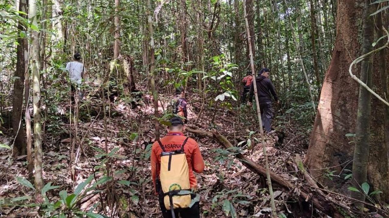 Operasi SAR Pencarian Nurpine di Hutan Barsel Memasuki Hari Kelima