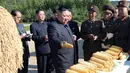Gambar yang dirilis 9 Oktober 2019, pemimpin Korea Utara, Kim Jong-un melihat hasil panen jagung saat mengunjungi Pertanian No. 1116 dari KPA Unit 810 di lokasi yang dirahasiakan. Ini merupakan penampilan perdana Kim sejak perundingan nuklir dengan AS tidak mencapai titik temu. (KCNA VIA KNS/AFP)