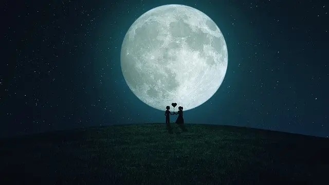 Ilustrasi bulan madu
