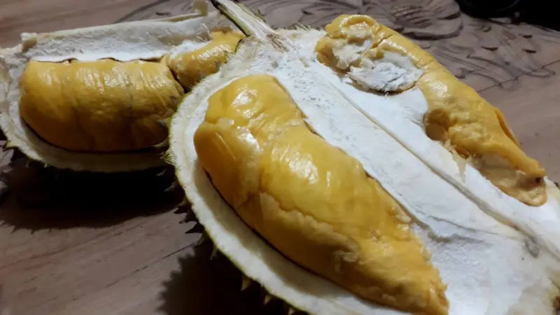 Penampakan daging durian lokal yang memikat. (Foto: Liputan6.com/Muhamad Ridlo)