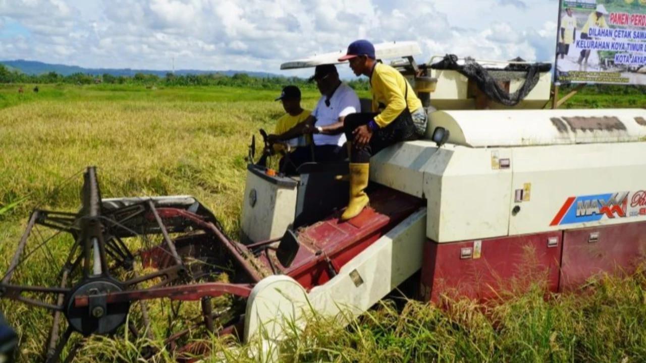 Wamentan Sebut Cetak Sawah Hari Ini Tak Bisa Tiba-Tiba Langsung Panen