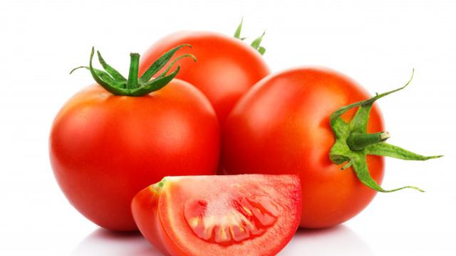 Ilustrasi buah tomat