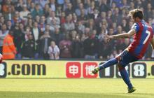 Deschamps: Cabaye terlahir kembali