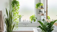 7 Tanaman yang Paling Mudah Dirawat untuk Kamar Mandi dan Tahan Kondisi Lembap