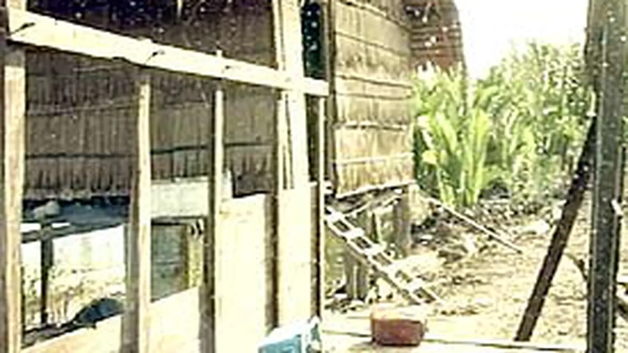 190103aPulauALiimron.jpg
