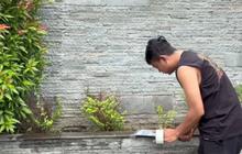 7 Potret Rumah Denny Caknan di Ngawi, Elegan dengan Batu Alam dan Tanaman