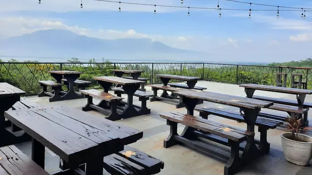 Seruput Kopi Seraya Nikmati Panorama Rawa Pening dan 7 Gunung dari Tengah Kebun