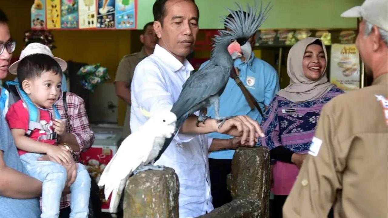 Meski begitu, KNPI tetap menunggu restu dari Presiden Joko Widodo (Jokowi) kepada Gibran maju sebagai cawapres Prabowo.