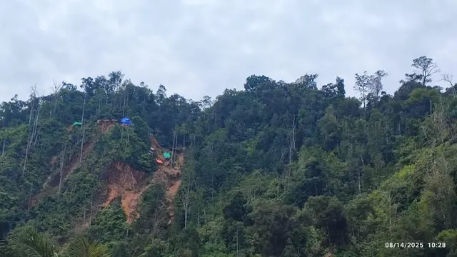 Tambang Ilegal Ditertibkan, Ratusan Hektare Lahan Kembali ke Negara