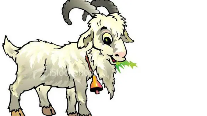 (C) istockphotos.com