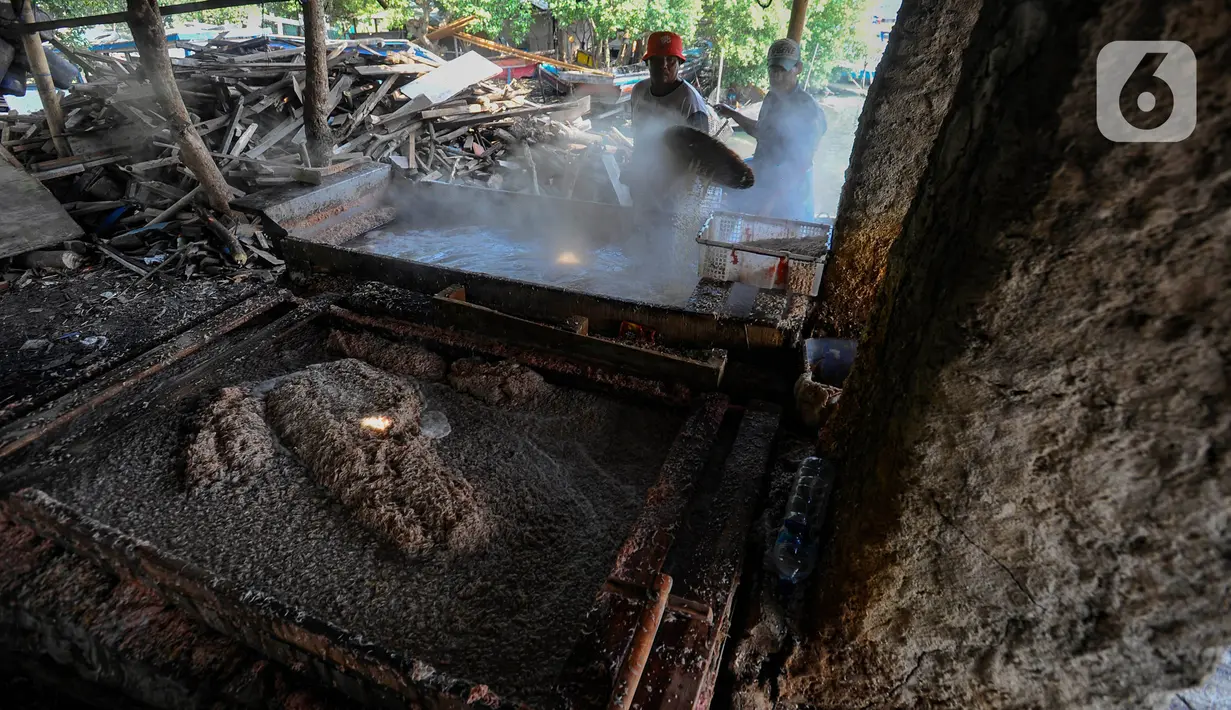 Nantinya rebon-rebon ini dipasarkan hingga ke Medan, kota-kota di Kalimantan dan Sulawesi. (merdeka.com/Arie Basuki)