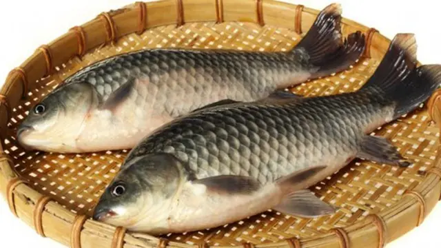 Foto: copyright merdeka.com