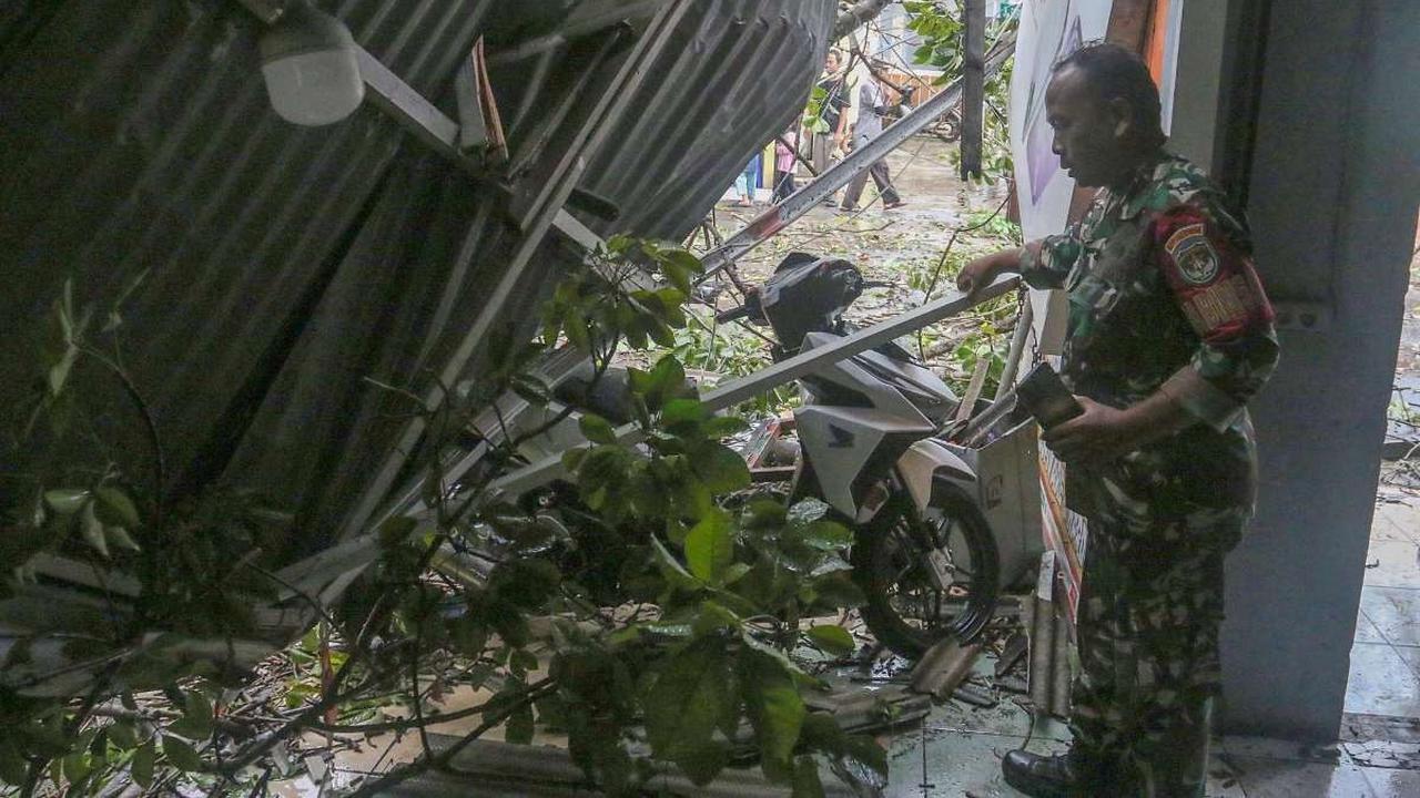 Pohon tumbang di Depok