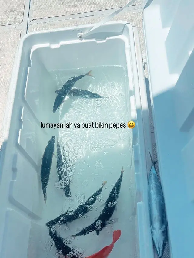 7 Potret Prilly Latuconsina yang Hobi Mancing, Perdana Dapat Ikan GT di Laut