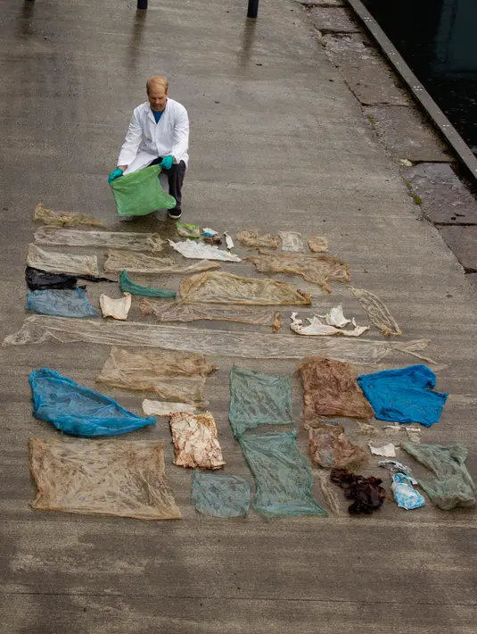Peneliti dari Universitas of Bergen membeberkan plastik yang di dapat dari pembedahan perut seekor paus di perairan Sotra, Norwegia, Selasa (31/1). Mereka berharap agar manusia bisa menghargai alam. (AP Photo)