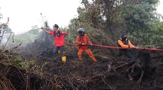 Titik Panas Kebakaran Hutan di Kalimantan Naik 4 Kali Lipat dalam Sehari