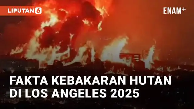 VIDEO: Fakta Kebakaran Hutan di Los Angeles, Sebabkan Kerugian dan Kehancuran Besar