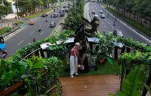 FOTO: Penampakan JPO Phinisi Bak Hutan Belantara Dipenuhi Daun dan Akar Pohon, Jadi Spot Foto Unik