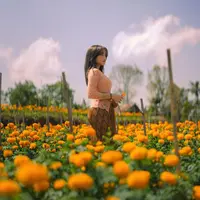 Fuji pernah membagikan beberapa potret cantik dirinya dalam balutan kebaya di tengah hamparan kebun bunga. [Foto: Instagram/fuji_an]