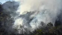 Kebakaran Hutan Amazon. (AFP)