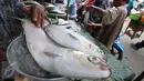 Pedagang menimbang ikan bandeng, Rawabelong, Jakarta, Jumat (5/2/2016). Pedagang mengaku permintaan ikan bandeng melonjak menjelang perayaan Imlek. (Liputan6.com/Angga Yuniar) 