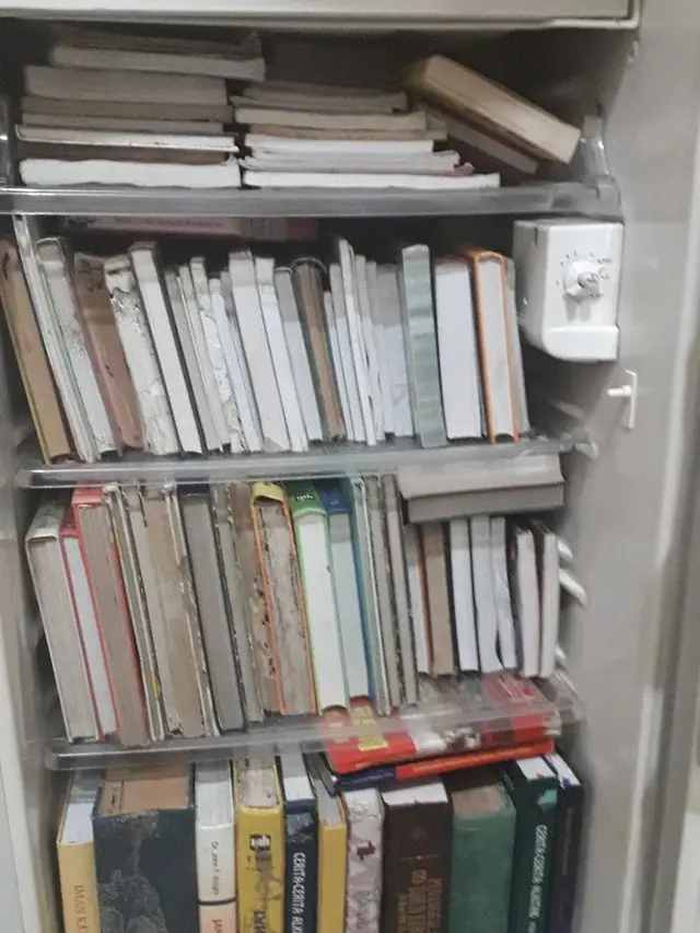 Kulkas Rusak Jadi Lemari