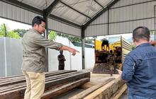Kementerian Kehutanan Tangkap Ratusan Batang Kayu Ilegal Sulawesi di Luwu dan Luwu Utara