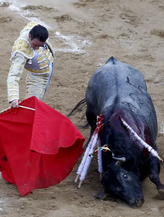 Matador asal Spanyol, Enrique Ponce mengecoh serangan banteng di festival adu banteng di arena Canaveralejo, Cali, Kolombia, (29/12). Festival ini di adakan tiap setahun sekali menjelang akhir tahun. (REUTERS/Jaime Saldarriaga)