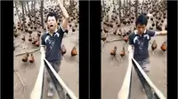 Lelaki bernyanyi dengan ditemani ratusan ayam ternaknya (dok.Twitter/@AnimalsWorId/status/1361897117468422144?/Komarudin)