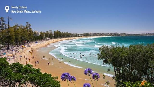 Manly Beach