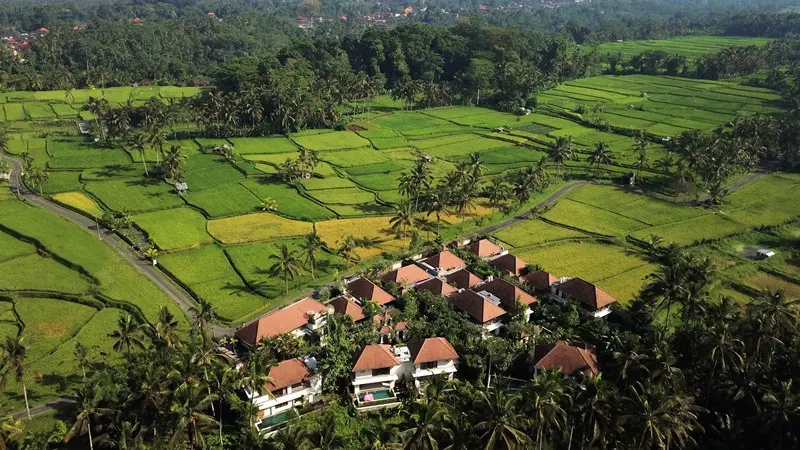 Vila Bernuansa Menenangkan di Daerah Matahari Terbit, Sanur Bali