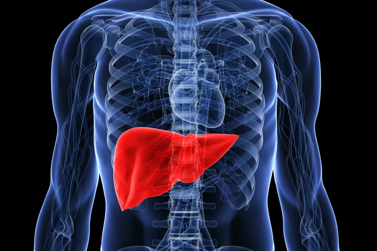 Santap 7 Makanan Ini untuk Miliki Liver yang Sehat