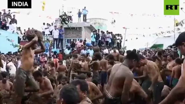 Dianggap Tak Akan Sakit, Unik Tradisi India Dengan Melempar Kotoran Sapi