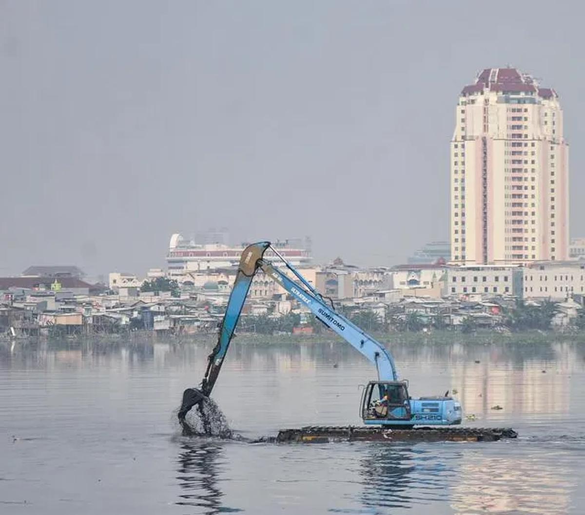 Diar menyebut fenomena merebaknya eceng gondok di Waduk Pluit, sudah menjadi hal yang biasa terjadi. Meskipun petugas dinas Lingkungan Hidup sudah sering kali membersihkannya.

"Kadangan bersih, kadangan juga entar banyak banget bisa hampir penuhin wadu