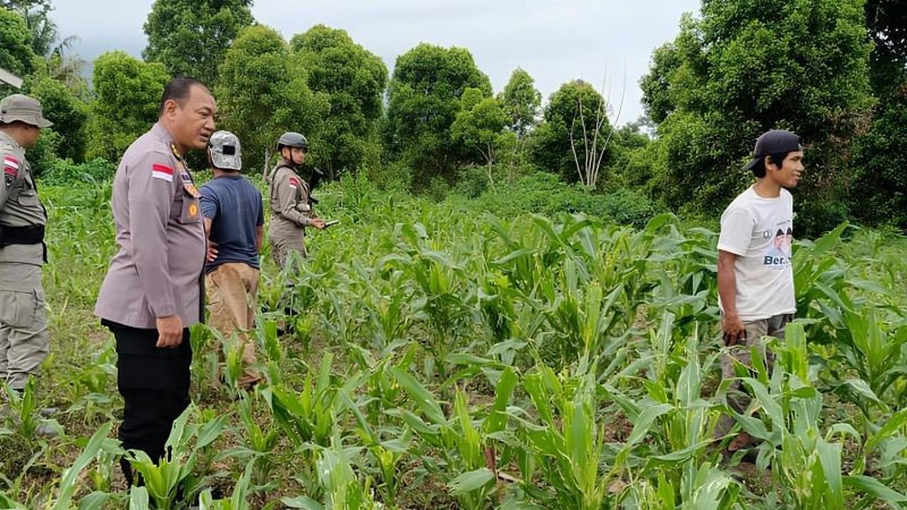 Fakta Unik: Satgas Madago Raya Dukung Pemberdayaan Eks Napiter di Poso, Fokus Pertanian untuk Kemandirian