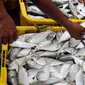 Nelayan menata ikan hasil tangkapan di Pelabuhan Muara Angke, Jakarta, Selasa (27/12/2022). Kementerian Kelautan dan Perikanan (KKP) pada 2023 menargetkan peningkatan nilai ekspor komoditas kelautan dan perikanan hingga mencapai USD 7,6 miliar. (Liputan6.com/Herman Zakharia)