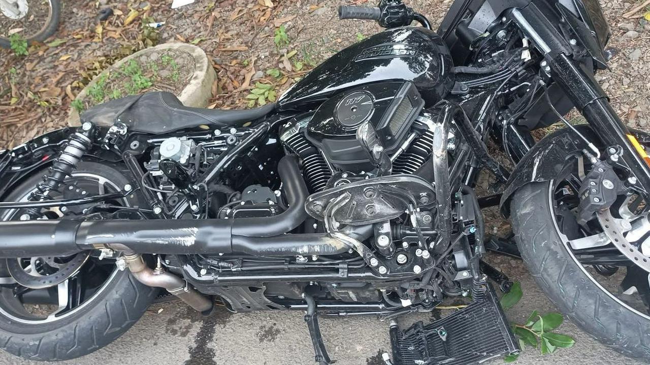 Harley Bendum Demokrat
