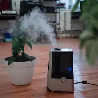 Ilustrasi Humidifier Credit: pexels.com/RomanKoval