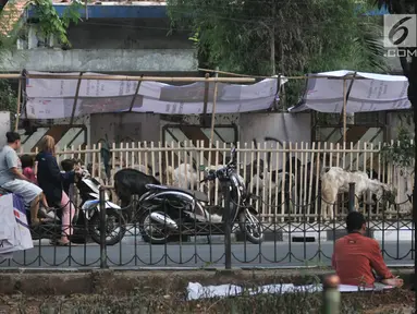 Warga melihat hewan kurban di salah satu lapak yang berada di trotoar, Jakarta, Senin (5/8/2019). Meski Pemprov DKI Jakarta telah melarang, sejumlah pedagang nekat berjualan hewan kurban di trotoar dengan alasan tidak memiliki lahan. (merdeka.com/Iqbal S. Nugroho)