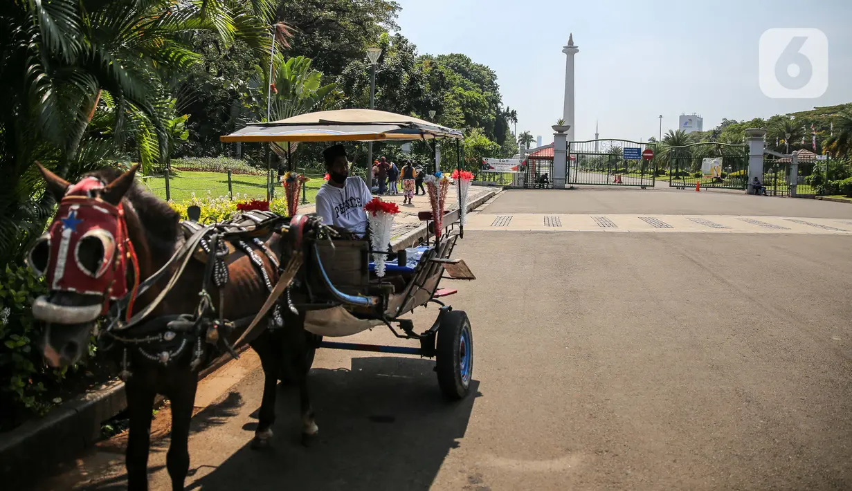 Pengemudi andong menunggu penumpang di depan kawasan Monumen Nasional (Monas), Jakarta, Minggu (26/7/2020). Sejumlah warga mulai mengunjungi kawasan Monas meski masih ditutup sementara di masa PSBB transisi. (Liputan6.com/Faizal Fanani)