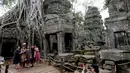Wisatawan mengunjungi kompleks kuil Ta Prohm di provinsi Siem Reap, Kamboja. Kuil yang dibangun dalam gaya arsitektur Bayon pada sekitar akhir abad ke-12 ini masuk kedalam daftar situs Warisan Dunia UNESCO pada tahun 1992. (REUTERS/Samrang Pring)