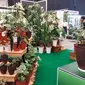 Tanaman hias di Floriculture Indonesia International Expo 2023 (Dok.Liputan6.com/Winda Syifa Sahira)