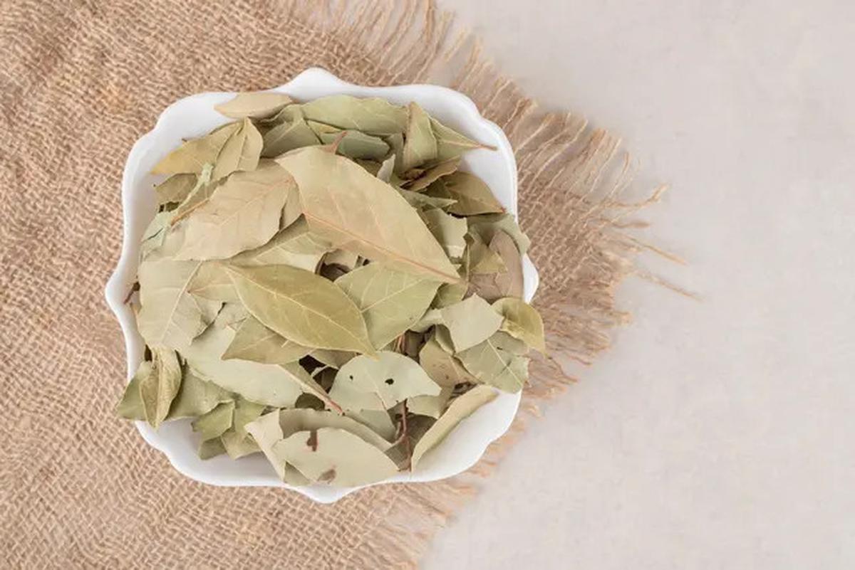 Minum Air Jahe dan Rebusan Daun Salam untuk Menurunkan Kolesterol, Hasilnya Mengejutkan!