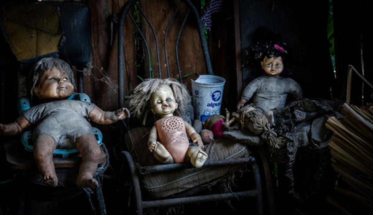 Kini pulau boneka yang sangat menyeramkan ini menjadi tempat wisata yang menarik dan menyeramkan di Meksiko, Jumat (14/11/2015). Diperkirakan ada ribuan boneka yang tergantung di pepohonan Isla de La Munecas.  (Reuters)